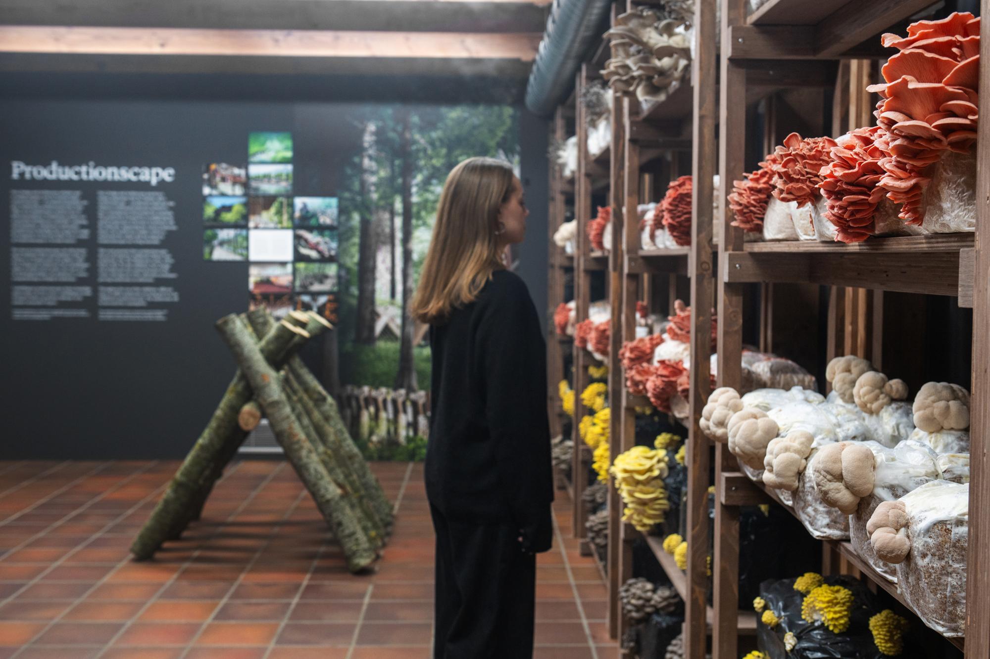"Memoryscapes - Architecture Connecting" at Louisiana Museum of Modern Art, 2026.